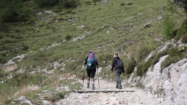 两个女孩在山里徒步旅行 彼此交谈 — 图库视频影像