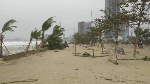 Broken Trees Road Traffic Tropical Storm Devastating Scenery Coastal Town — Stock Video