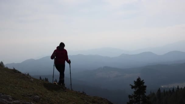 Woman Hiking Mountains Weekend Cheerful Girl Trekking Poles Exploring Nature — Stock Video