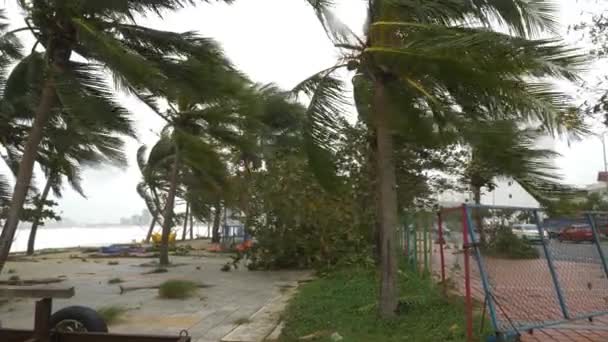 Árboles Rotos Viento Fuerte Secuelas Tormenta Tropical Ciudad Nang Vietnam — Vídeo de stock