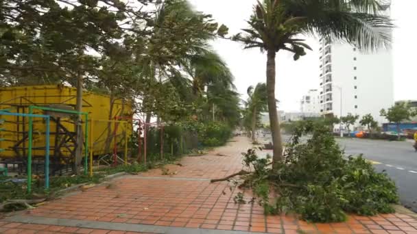 Nachwirkungen Des Tropensturms Umgestürzte Bäume Und Nasse Straßen Nang City — Stockvideo