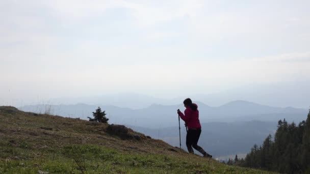Жінка Ходить Горах Вихідні Весела Дівчина Полюсами Досліджують Природу Влітку — стокове відео