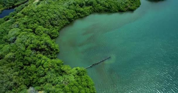 マングローブに囲まれた湖に走る錆びた漏水パイプの幅広い空中ショット 下水の投棄 — ストック動画
