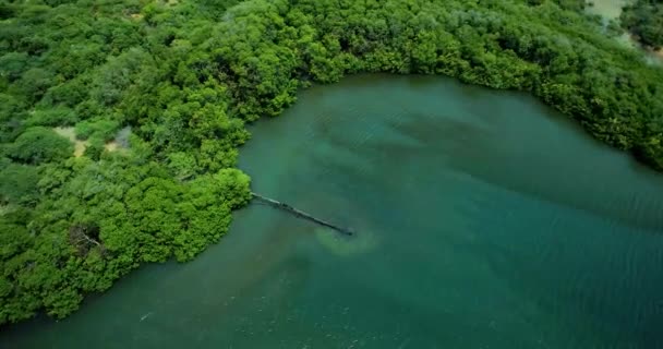 Široký Vzdušný Záběr Zrezivělého Unikajícího Potrubí Vtékajícího Jezera Obklopeného Mangrovníky — Stock video
