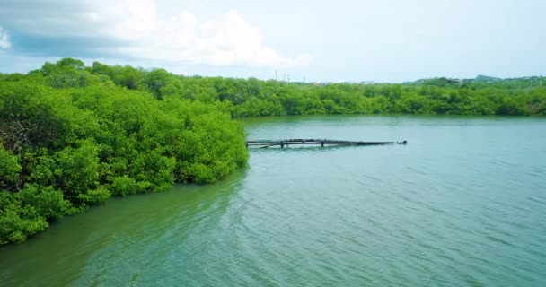 Zablokowane Zdjęcie Zardzewiałej Rury Wpadającej Jeziora Otoczonej Namorzynami Wyrzucającej Ścieki — Wideo stockowe
