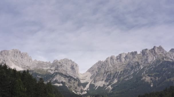 Laaghoekige Opname Van Weelderige Groene Vegetatie Langs Berghelling Oostenrijk Europa — Stockvideo