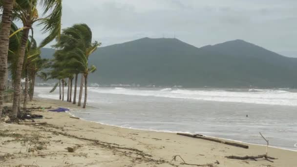Ισχυρός Άνεμος Στα Δέντρα Και Rough Κύματα Στην Παραλία Εισερχόμενη — Αρχείο Βίντεο