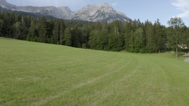 缓慢低角无人驾驶飞机飞越奥地利山区的绿色草地 王尔德皇帝山出现在背景中 — 图库视频影像