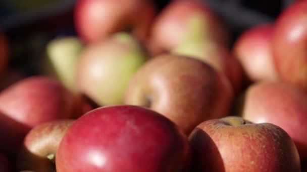 Zamknij Kieliszek Czerwonych Jabłek Owoce Żywność Wegańska — Wideo stockowe
