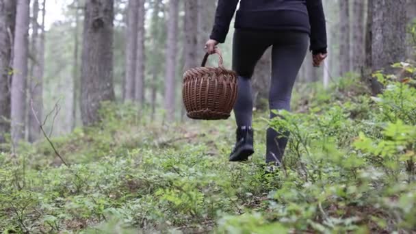 秋の旅行でキノコを集めるための籠を持つ森の道を歩く女性のハイキング — ストック動画