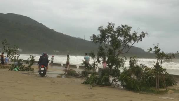 People Broken Trees Beach Tropical Storm Pass Coastal City Inglés — Vídeos de Stock