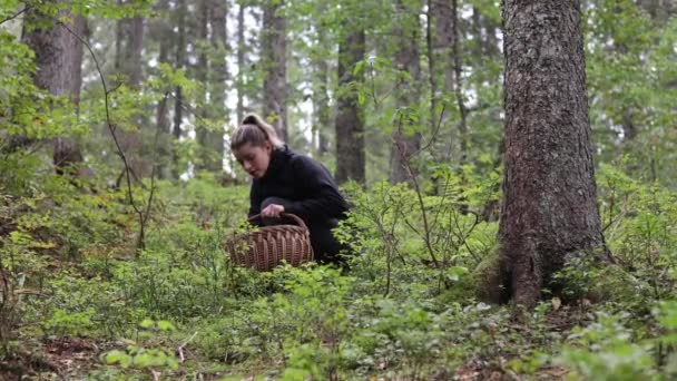 秋天旅行时带着采集蘑菇篮子在森林小径上远足的女性 — 图库视频影像