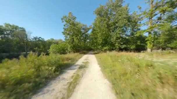 Gravel Dirt Biking Running Trail Path Woods Light Dark Tree — Stock Video