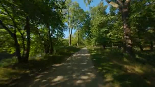 Велосипед Біг Гравійній Стежці Лісовому Дерев Яному Навісі Від Першої — стокове відео