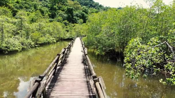 Деревянный Мост Национальном Природном Парке Ута — стоковое видео