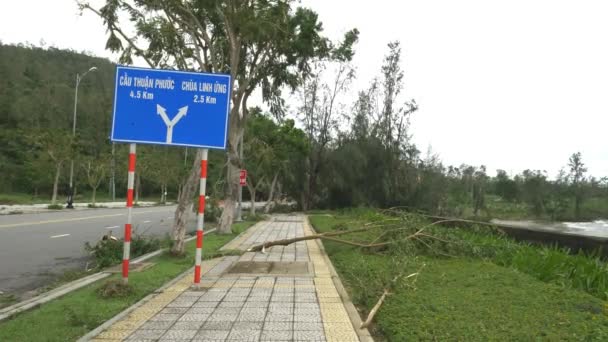 Daños Después Tormenta Tropical Por Carretera Nang Vietnam Árboles Rotos — Vídeos de Stock