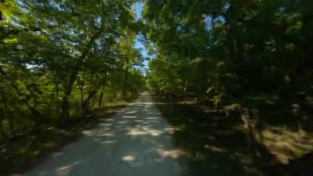 Gravel Dirt Biking Running Trail Path Woods Smooth First Person — Stock Video