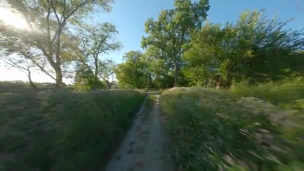 Θάμνος Και Βρωμιά Ποδηλασία Και Τρέξιμο Μονοπάτι Δέντρο Του Δάσους — Αρχείο Βίντεο