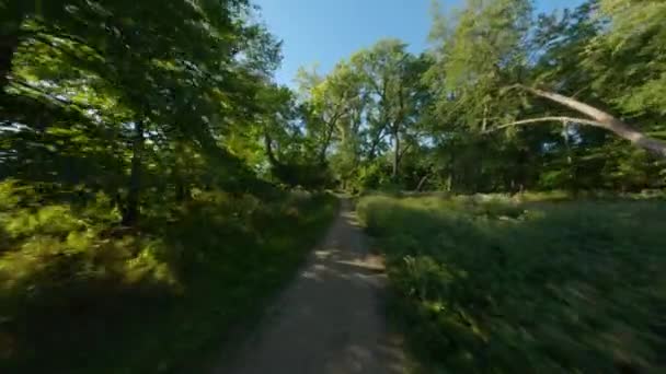 砂利やダートバイクやランニングトレイルパス 森の樹林冠 スムーズ一人称視点ハメ撮りサイクリングライドとランニング — ストック動画
