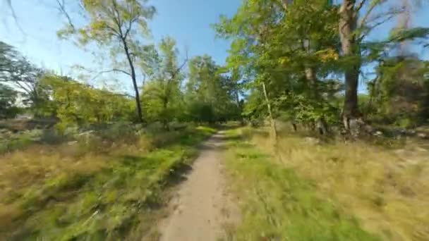 Pista Única Terra Cascalho Caminho Bicicleta Correr Suave Primeira Pessoa — Vídeo de Stock