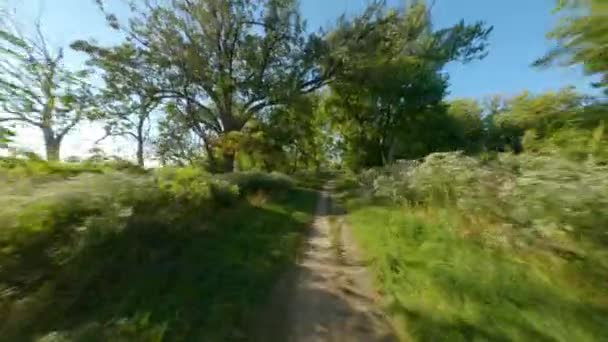 Single Track Dirt Gravel Path Biking Run Smooth First Person — Stock Video