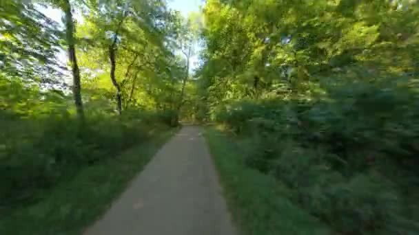 骑自行车在树冠森林的泥石路下奔跑 平稳第一人称查看Pov骑和跑 — 图库视频影像