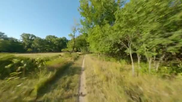 自転車はシングルトラックの砂利道背の高い草を実行します スムーズ一人称視点ハメ撮りサイクリングライドと実行 — ストック動画