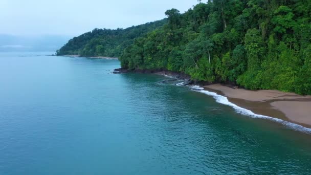 Мирный Берег Расположенный Тихоокеанском Побережье Колумбии — стоковое видео