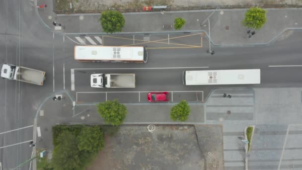 교차로를 통과하는 트럭들 버스들 정류장 근처에서 — 비디오