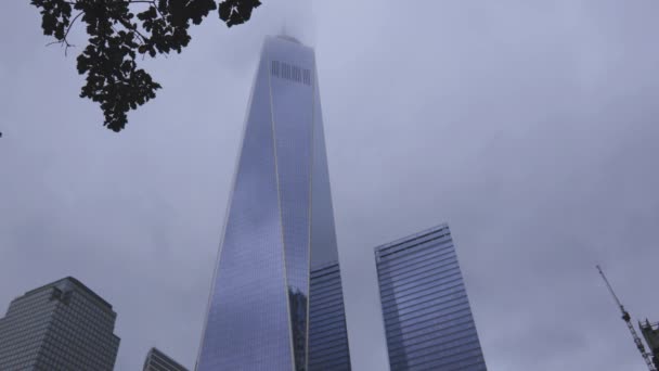 Freedom Tower Nova Iorque Com Árvore — Vídeo de Stock