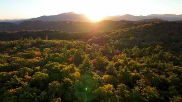 Aéreo Treetoop Empujar Abuelo Montaña Norte Carolina Otoño — Vídeos de Stock