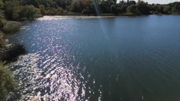 Drone Aéreo Dinâmico Filmagem Lago Uma Floresta Com Água Cintilante — Vídeo de Stock