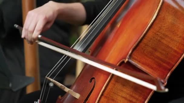 Close Cello Cellist Plays Using Bow Part String Quartet — Stock Video