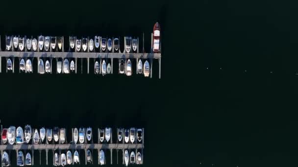 Felülről Rálátni Bestumkilen Bay Kikötőjére Tele Hajókkal Egy Nyári Napsütéses — Stock videók