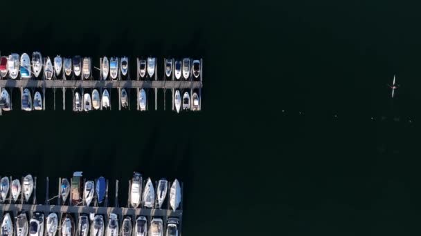 从空中俯瞰Bestumkilen湾码头 只有一艘孤零零的划船在水面上 挪威奥斯陆 — 图库视频影像