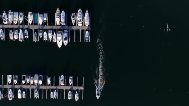 1隻のモーターボートと1隻のボートでベストムキルン湾マリーナの空中ビューをトップダウン水上ボート ノルウェーのオスロ — ストック動画