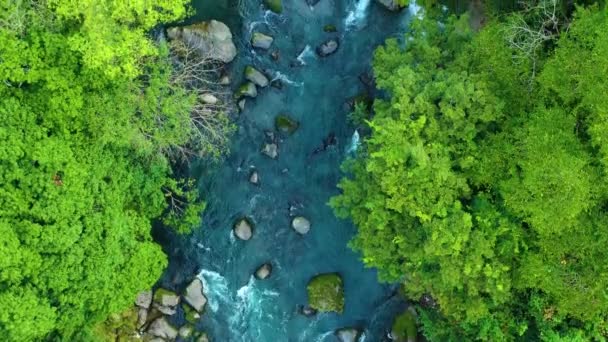 Aerial Top Dolly Nad Malowniczą Czystą Rzeką Otoczoną Bujnym Zielonym — Wideo stockowe