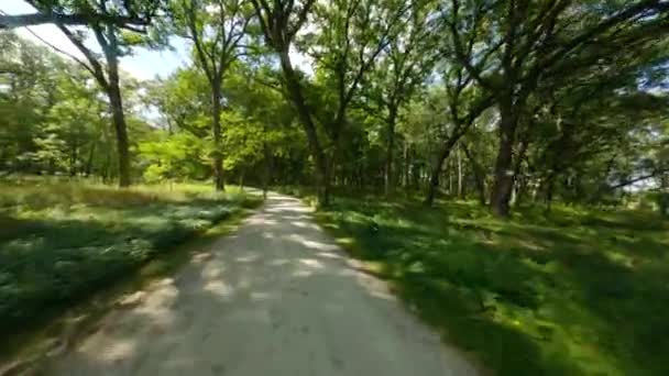 砕いた石灰岩の歩道を自転車で走ります 太陽の光レンズフレアとツリーキャノピーを通過 最初の人はPovサイクリングに乗ると実行を表示します シカゴ郊外のグレン滝森林保護区 — ストック動画