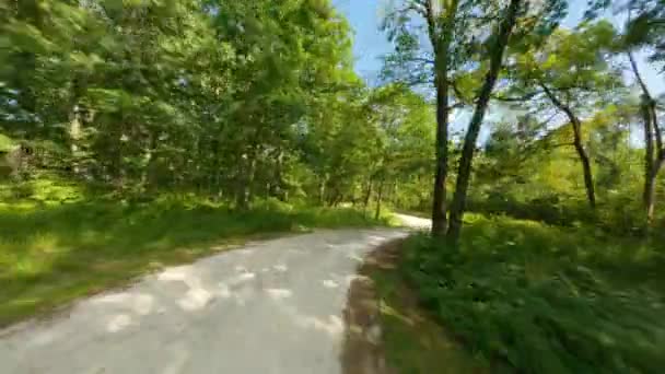 骑自行车 沿着碎石石灰石小径奔跑 快速下坡砾石与许多锯齿形曲线 第一人称看Pov自行车骑和跑 森林保护树冠格伦瀑布保护区 — 图库视频影像