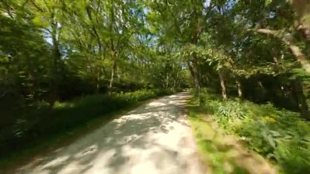 砕いた石灰岩の歩道を自転車で走ります 深い森 鬱蒼とした森を介して日光 最初の人はPovサイクリングに乗ると実行を表示します 森林保全林冠グレン滝保全 — ストック動画