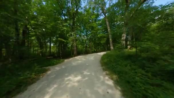 Ποδηλασία Και Τρέξιμο Θρυμματισμένο Μονοπάτι Ασβεστόλιθου Σκούρο Κάτω Από Δέντρα — Αρχείο Βίντεο