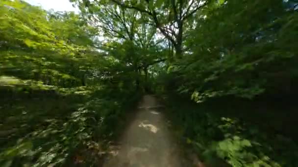 Biking Running Crushed Limestone Trail Path Closed Single Track Mountain — Stock Video