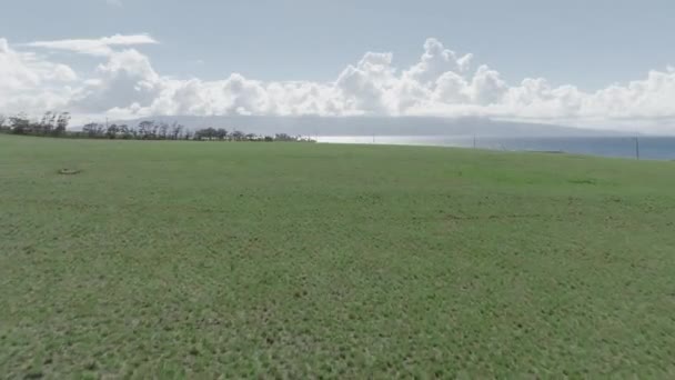 Maui County Terras Agrícolas Alcance Pastagens Pastagens Flyover Aéreo — Vídeo de Stock
