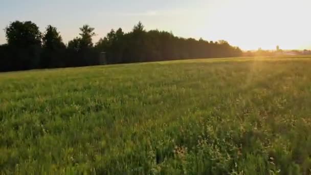 Alemania Valle Remstal Drone Disparo Vuelo Sobre Paisaje Rural Otoño — Vídeo de stock