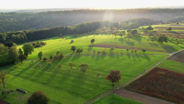 Γερμανία Remstal Valley Drone Shot Flight Rural Landscape Φθινόπωρο — Αρχείο Βίντεο