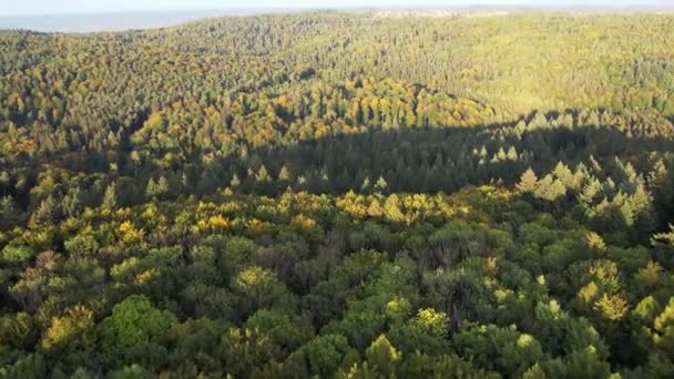 Alemanha Vale Remstal Drone Shot Voo Sobre Uma Floresta Outono — Vídeo de Stock