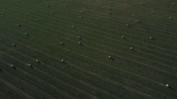 Кружляючи Навколо Фермерського Поля Стосів Сіна Дроном — стокове відео