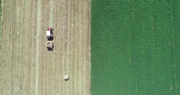 Saman Balyaları Traktör Hasat Makinesi Tarım Arazisindeki Havadan Aşağı — Stok video
