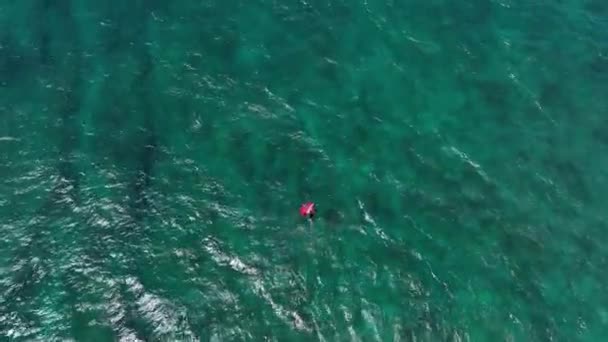 Wing Foiler Cruising Vidöppen Klar Turkos Hawaiian Vatten Hookipa Overhead — Stockvideo