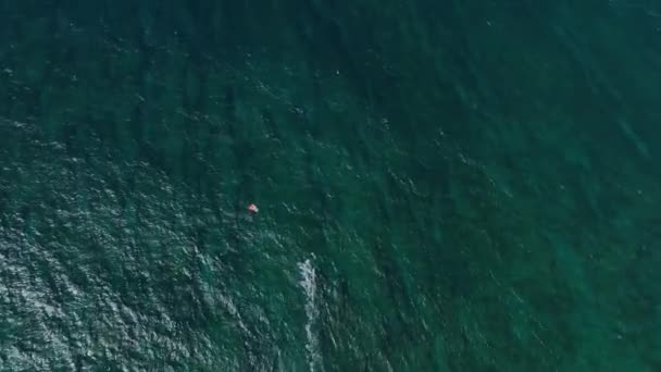 Воздушный Кайт Серфер Пересекающий Пляж Хоокипа Северном Побережье Мауи Место — стоковое видео
